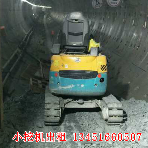 微型小挖機(jī)租賃的應(yīng)用廣泛，今天帶大家來(lái)了解一下！(圖1)